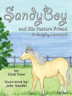 SandyBoy and His Pasture Friend