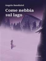 Come nebbia sul lago