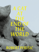 A Cat At the End of the World