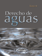 Derecho de Aguas Tomo V