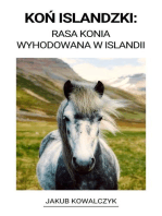 Koń Islandzki: Rasa Konia Wyhodowana w Islandii