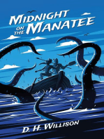 Midnight on the Manatee