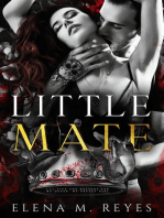 Little Mate: Fate's Bite, #2