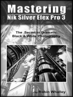 Mastering Nik Silver Efex Pro 3