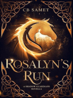 Rosalyn's Run: The Shadow Guardians, #1.5