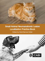 Small Animal Neuroanatomic Lesion Localization Practice Book