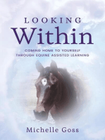 Looking Within: Coming Home to Yourself Through Equine Assisted Learning