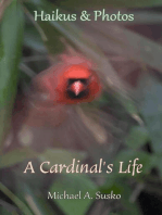 Haikus and Photos: A Cardinal's Life: Nature Haikus & Photos, #2