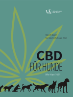 CBD für Hunde: Wie Hanf hilft