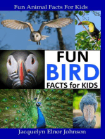 Fun Backyard Bird Facts for Kids: Fun Animal Facts For Kids