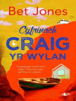 Cyfrinach Craig yr Wylan