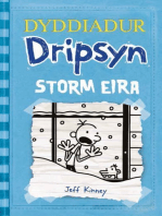 Dyddiadur Dripsyn