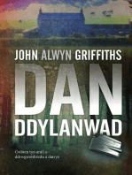 Dan Ddylanwad