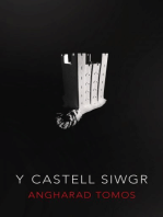 Castell Siwgr, Y