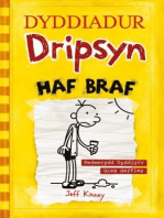 Dyddiadur Dripsyn