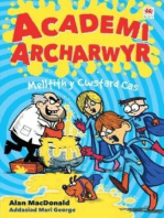 Cyfres Academi Archarwyr