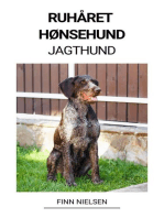 Ruhåret Hønsehund (Jagthund)