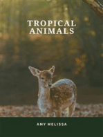 Tropical animals