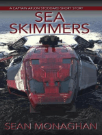 Sea Skimmers