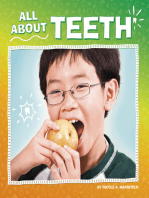 All About Teeth