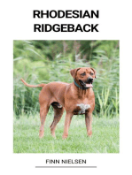 Rhodesian ridgeback