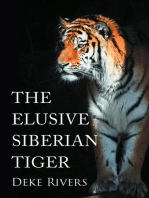 The Elusive Siberian Tiger