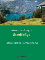 Streifzüge: Literarischer Sammelband