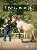 Trickschule für Pferde: Kreative Kopfarbeit für schlaue Rösser