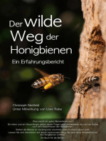 Der wilde Weg der Honigbienen: Ein Erfahrungsbericht
