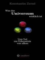 Was das Universum wirklich ist: Vom Tod zur Erkenntnis von allem