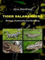 Tiger Salamanders: Biology, Husbandry and Breeding