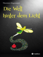 Die Welt hinter dem Licht