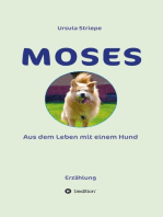 Moses - Aus dem Leben mit einem Hund