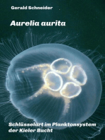 Aurelia aurita: Schlüsselart im Planktonsystem der Kieler Bucht