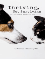 Thriving, Not Surviving: A Nutritional Guide for Pet Owners