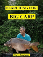 Searching for Big Carp