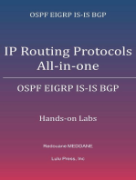 IP Routing Protocols All-in-one