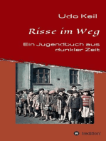 Risse im Weg: Ein Jugendbuch aus Deutschlands dunkler Zeit