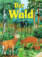 Der Wald: Tiere in Feld und Wald