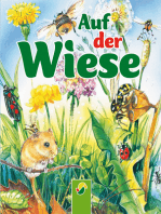Auf der Wiese: Tiere in Feld und Wald