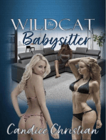 The Wildcat Babysitter