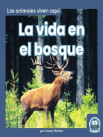 La vida en el bosque (Life in the Forest)