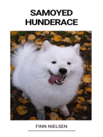 Samoyed (Hunderace)