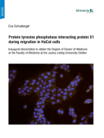Protein tyrosine phosphatase interacting protein 51 during migration in HaCat cells
