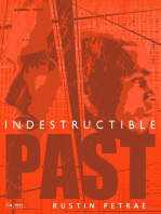 Indestructible:PAST