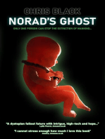 NORAD's Ghost