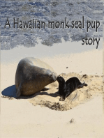 A Hawaiian monk seal pup story