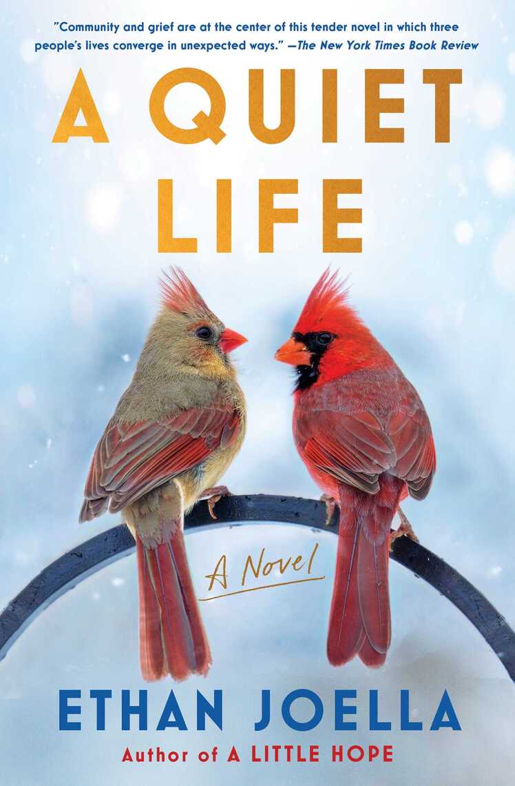 A Quiet Life by Ethan Joella - Ebook