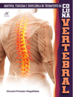 Anatomia, Fisiologia e Biomecânica do Treinamento da Coluna Vertebral