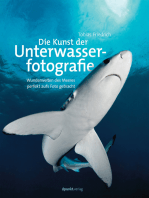 Die Kunst der Unterwasserfotografie: Wunderwelten des Meeres perfekt aufs Foto gebracht